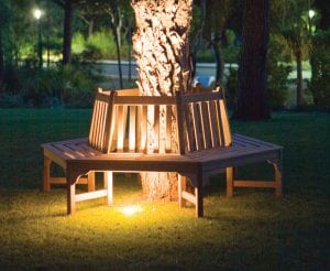 Teak Collection Tree Seat