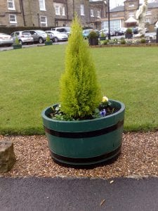 Barrel planters