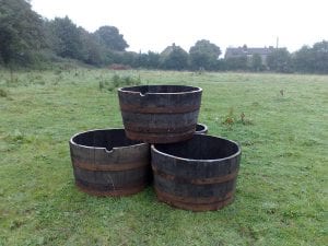Barrel planters ready for plants