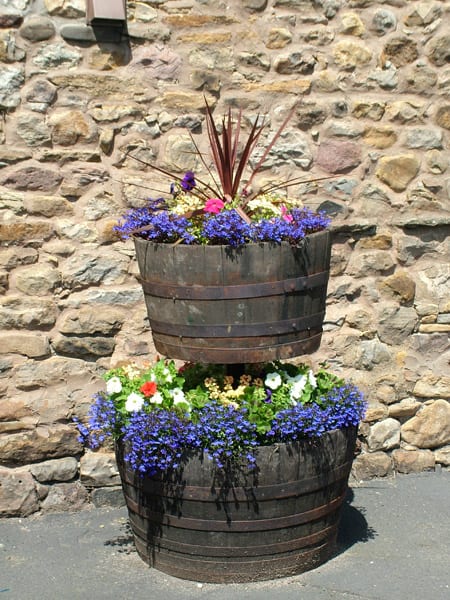 Oak Whisky Barrel planters